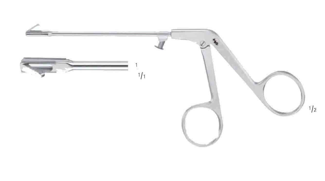 STAMBERGER ANTRUM PANÇ SOLA BACBİTİNG